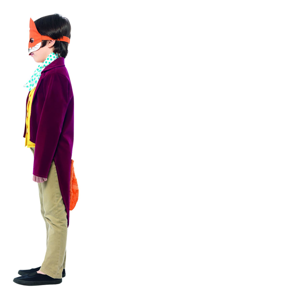Roald Dahl Fantastic Mr Fox Costume