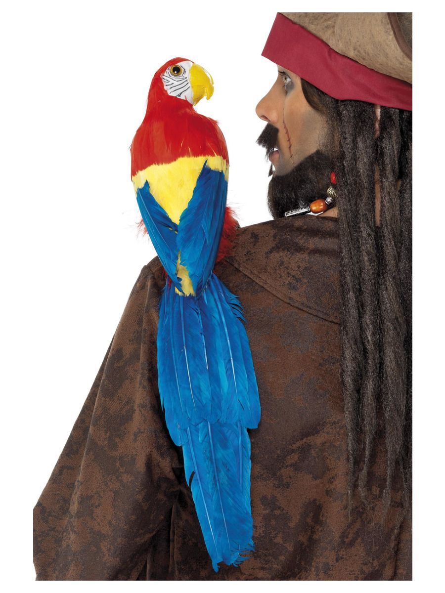 Parrot Pirate