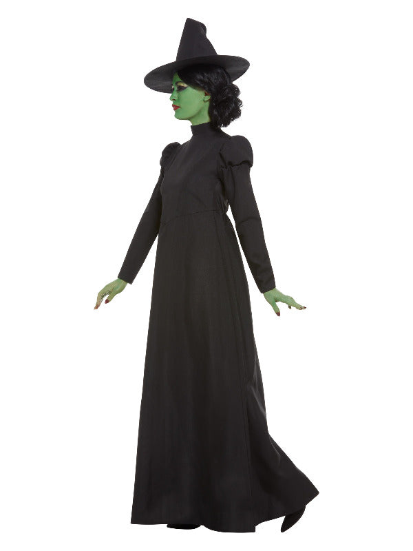 Wicked Witch Costume