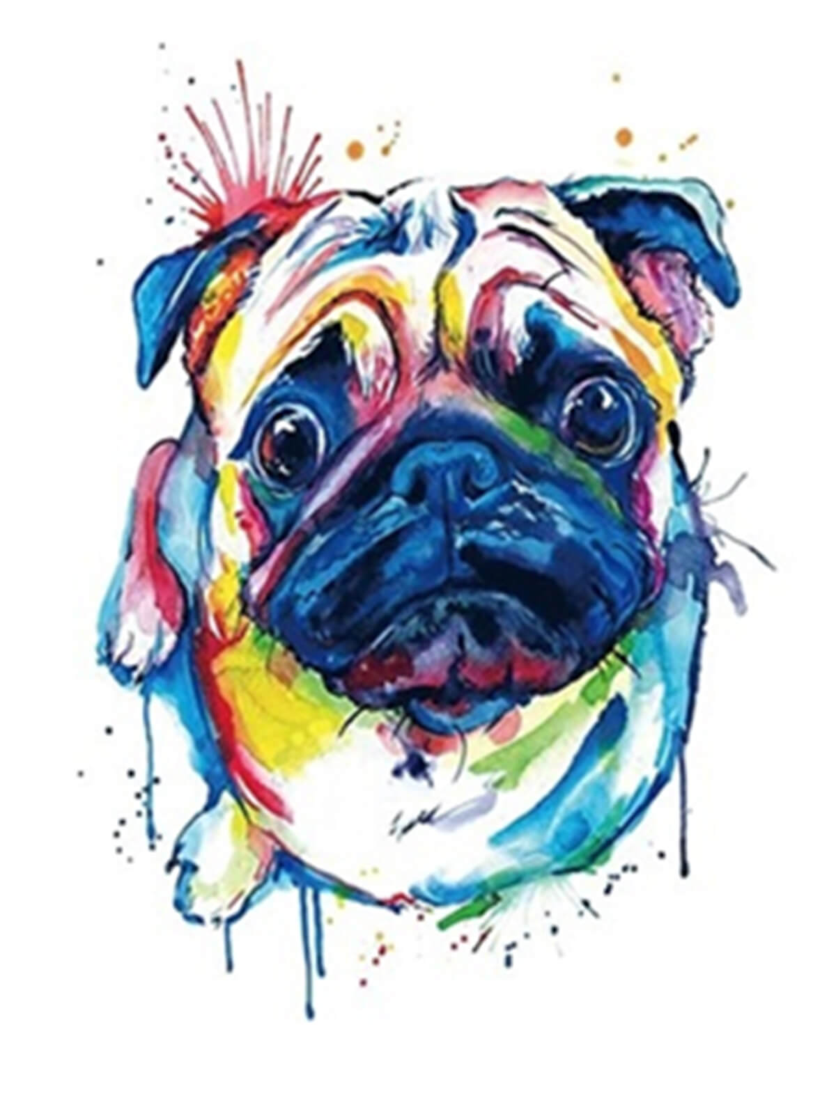 Large Temporary Tattoos in various designs.