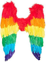 Rainbow Angel Wings